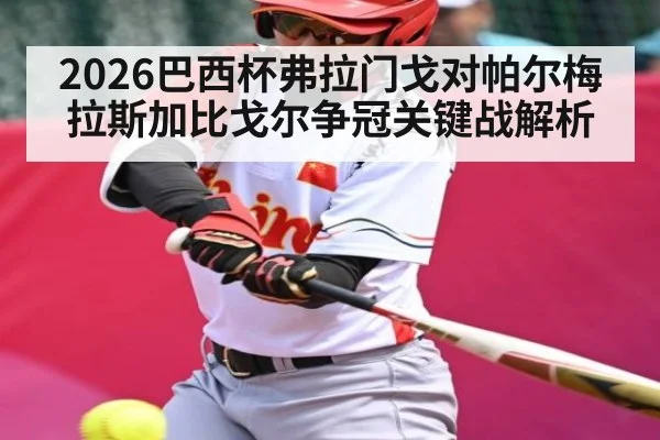 2026巴西杯弗拉门戈对帕尔梅拉斯加比戈尔争冠关键战解析